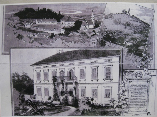 Istoria castelului Rhédey din Sângeorgiu de Pădure