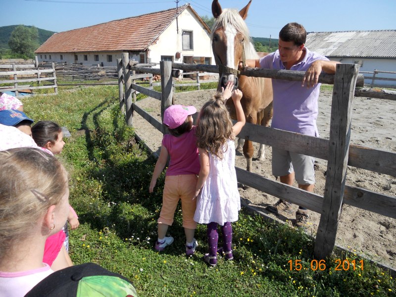 Schule der Bauern aus Harbachsdorf: lernen den Tieren Essen zu geben