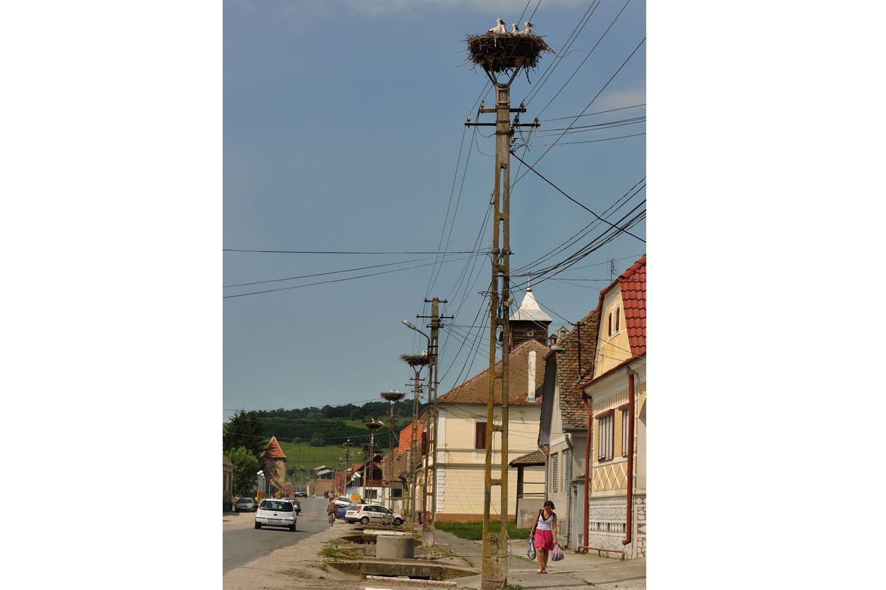 “Drumul transhumantei” prin Marginimea Sibiului