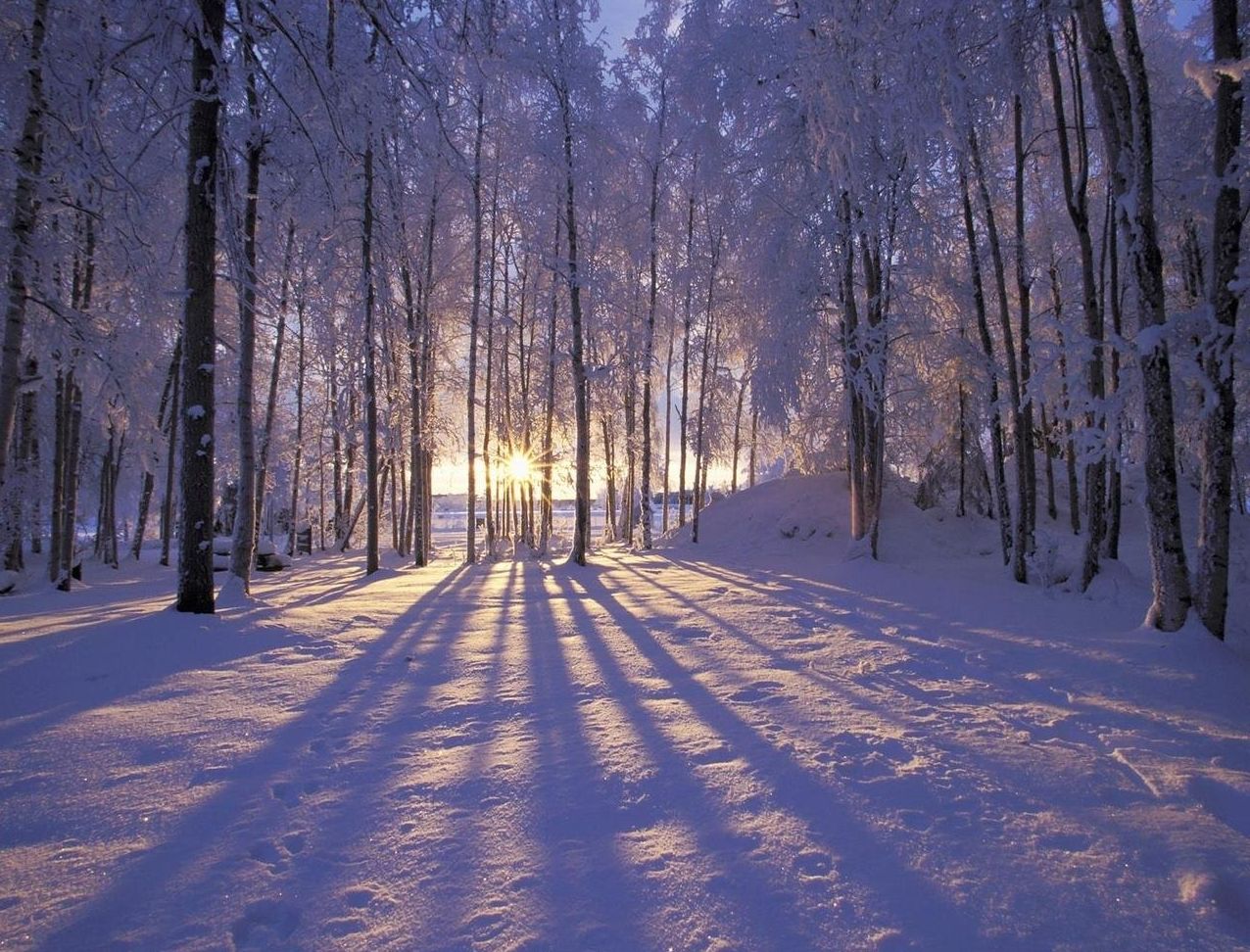 Siebenbürgen, einer der schönsten Orte den Winter in Europa zu verbringen