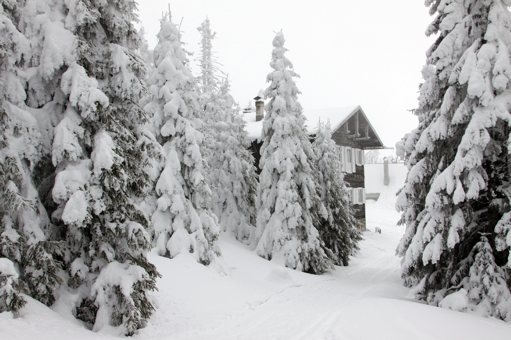Siebenbürgen, einer der schönsten Orte den Winter in Europa zu verbringen