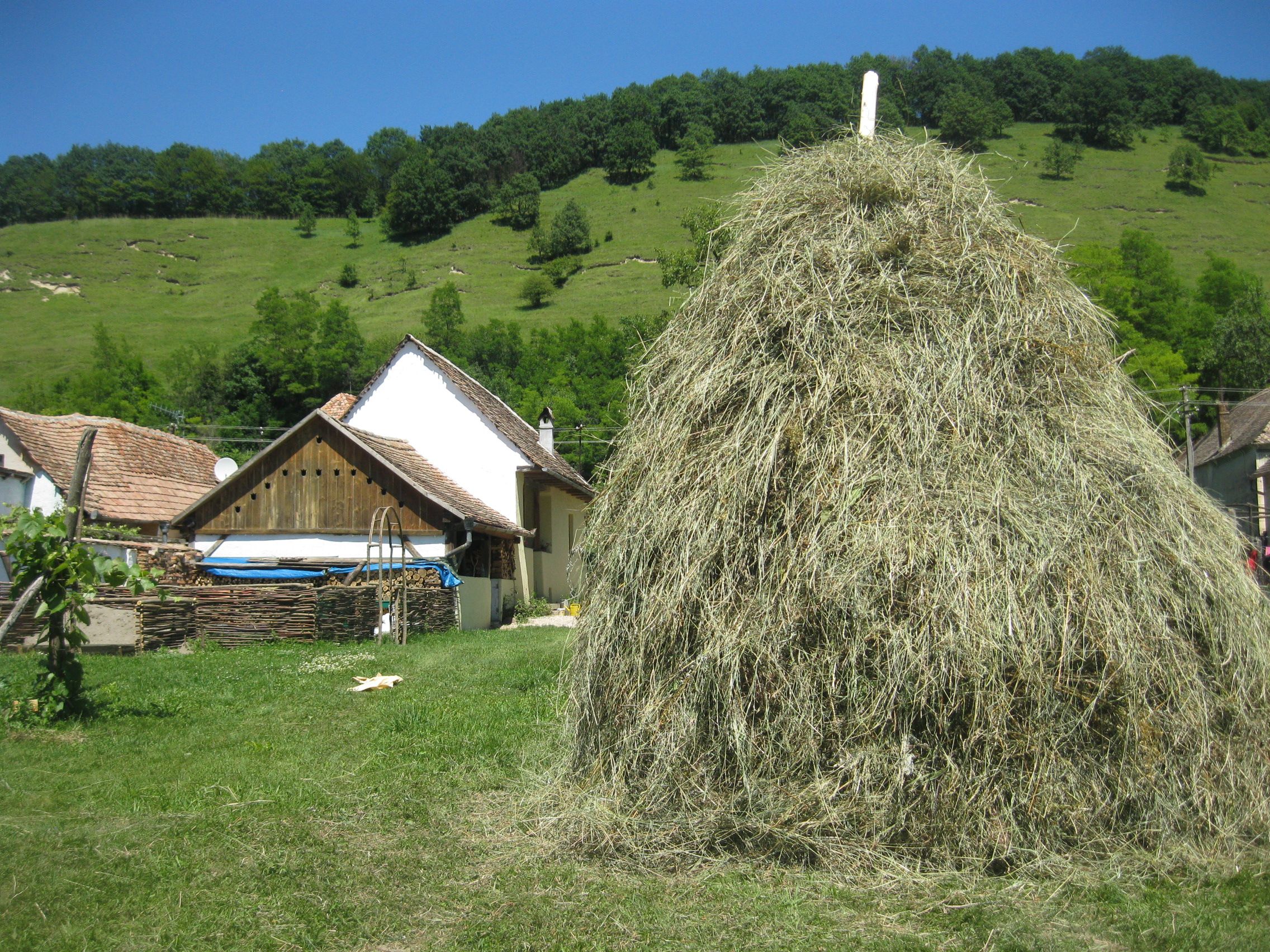 Casa in Natura – Vacanta la tara in Transilvania