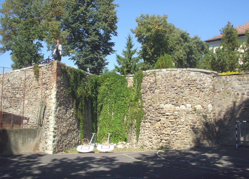 Cetatea Medievală Szekely Tamadt