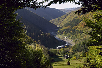 Valea Vaserului